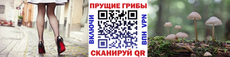 Галлюциногенные грибы MAGIC MUSHROOMS  наркота  Кукмор 